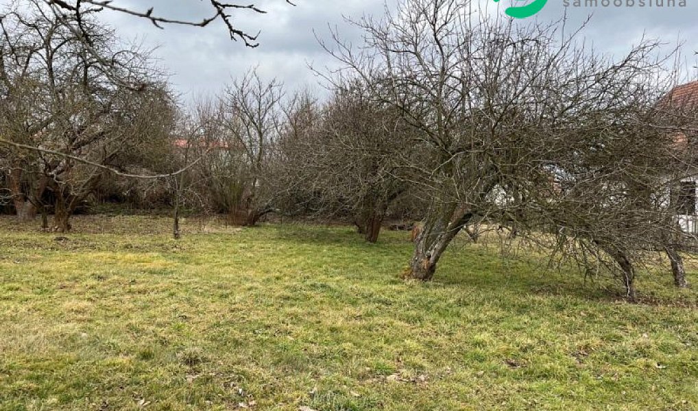 Prodej stavebního pozemku 1 000 m², Lipová – náhled fotky 2