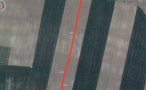 Prodej pole 2 557 m², Žabovřesky nad Ohří, okres Litoměřice