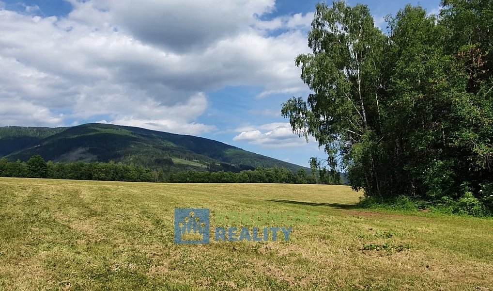 Prodej pozemku 4 617 m², Černý Důl – náhled fotky 3