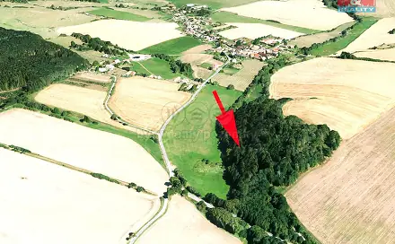 Prodej louky 8 352 m², Sedliště, okres Plzeň-Jih
