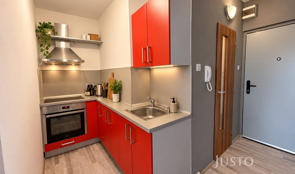 Pronájem bytu 1+kk 30 m², Liberec – náhled fotky 3