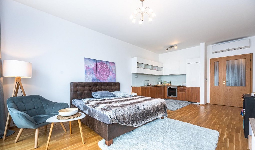Pronájem bytu 2+kk 65 m², Praha – náhled fotky 3