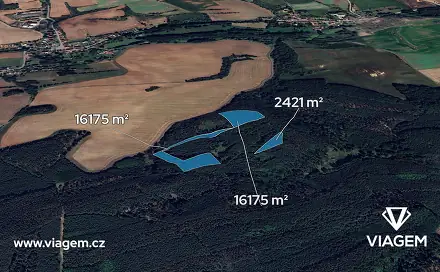 Prodej lesa 2 324 m², Libovice, okres Kladno