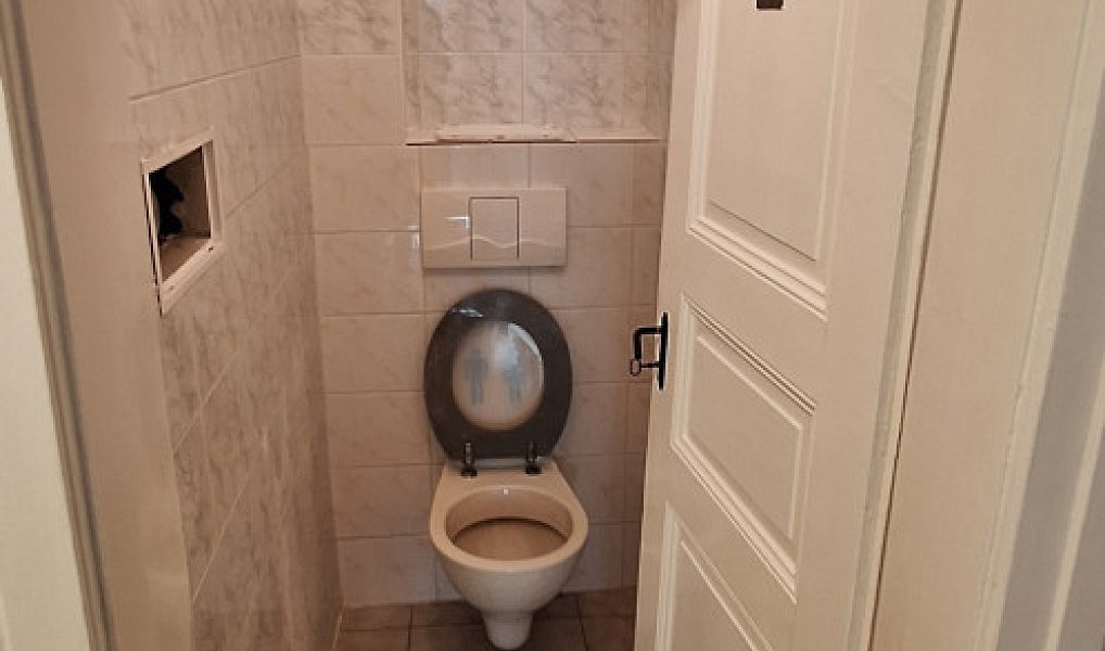 Pronájem bytu 1+1 55 m², Praha – náhled fotky 10