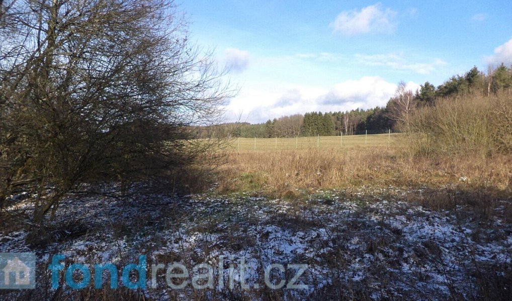 Prodej pozemku 3 575 m², Staré Město pod Landštejnem – náhled fotky 3