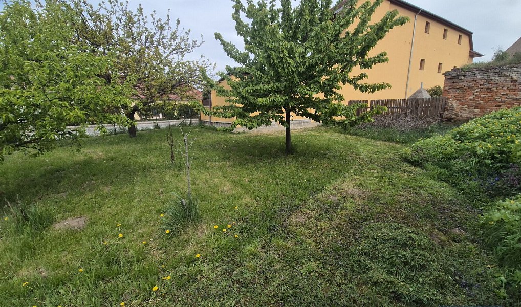 Prodej domu 135 m² s pozemkem 768 m², Horní Věstonice – náhled fotky 16