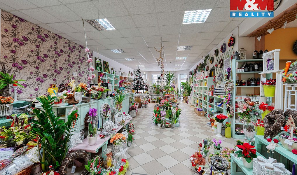 Pronájem obchodních prostor 133 m², Třemošná – náhled fotky 15