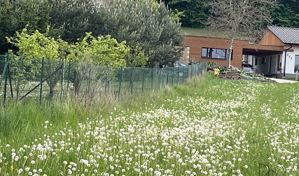 Prodej stavebního pozemku 814 m², Sentice – náhled fotky 8