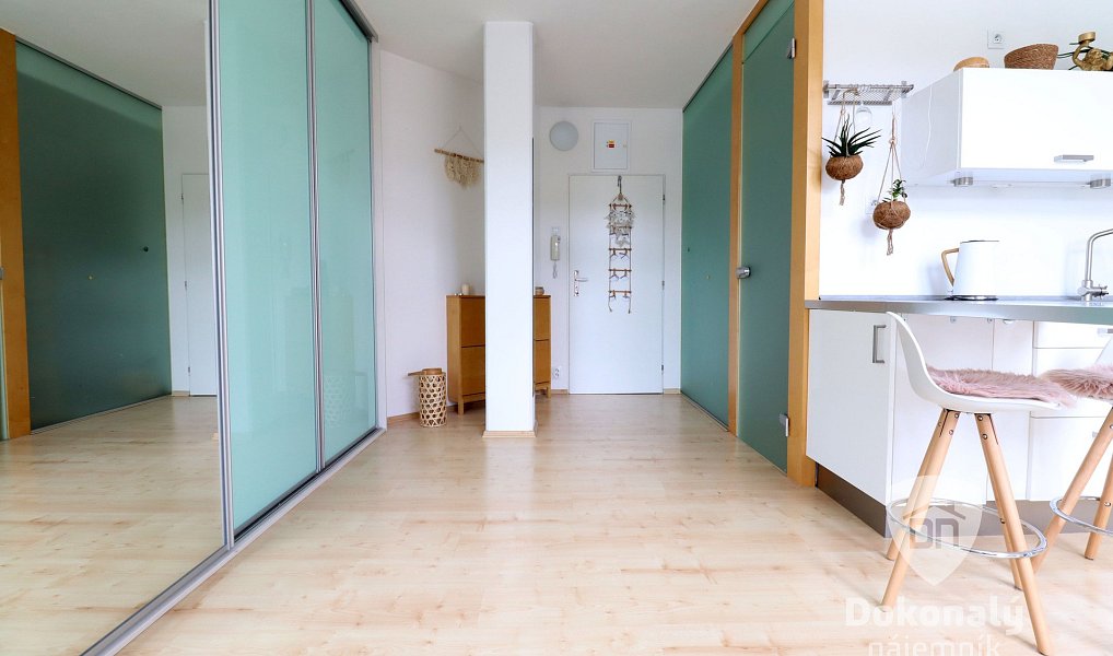 Pronájem bytu 1+kk 45 m², Praha – náhled fotky 7