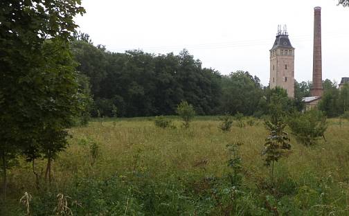 Dražba louky 28 977 m², Meziměstí