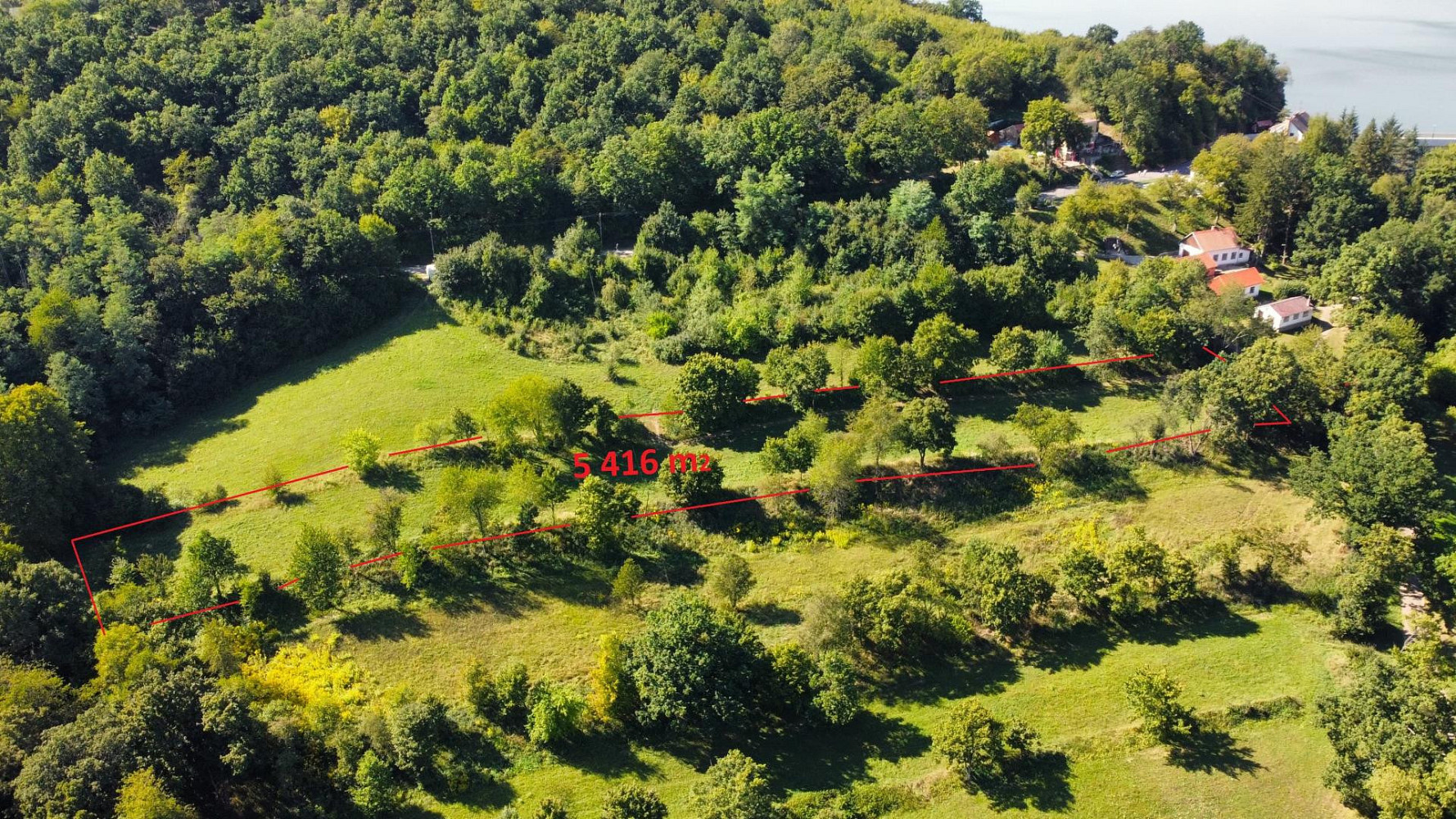 Prodej louky 5 416 m² — photo 4