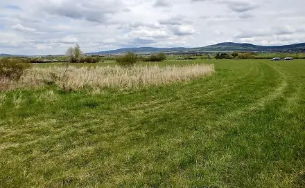 Prodej pole 6 487 m², Hostomice, okres Beroun