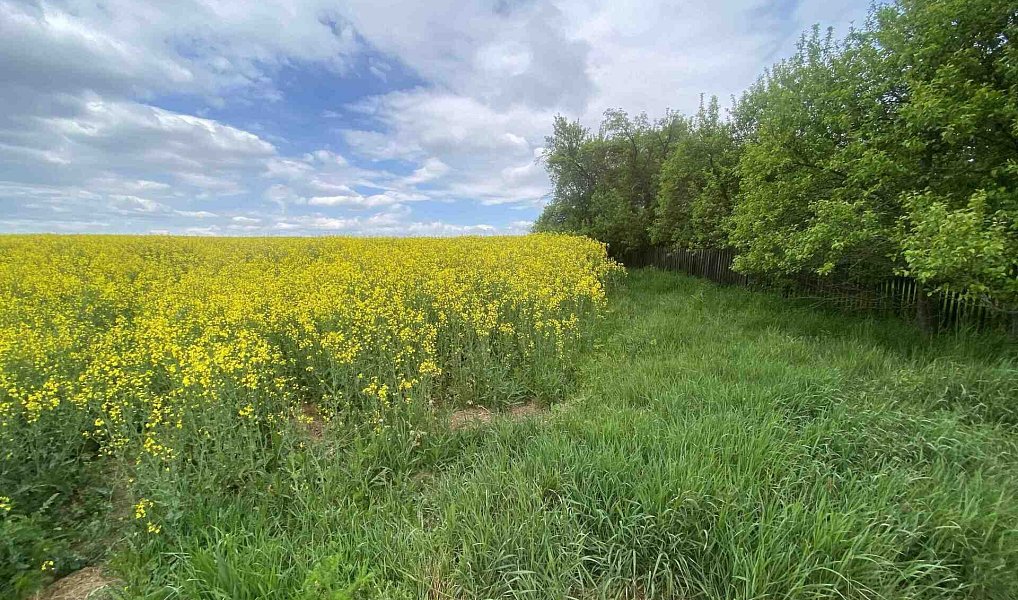 Prodej pozemku 1 750 m², Řendějov – náhled fotky 2