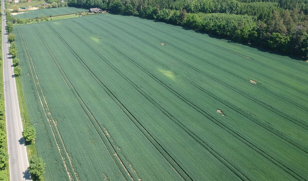 Prodej pole 5 812 m², Zvánovice – náhled fotky 7