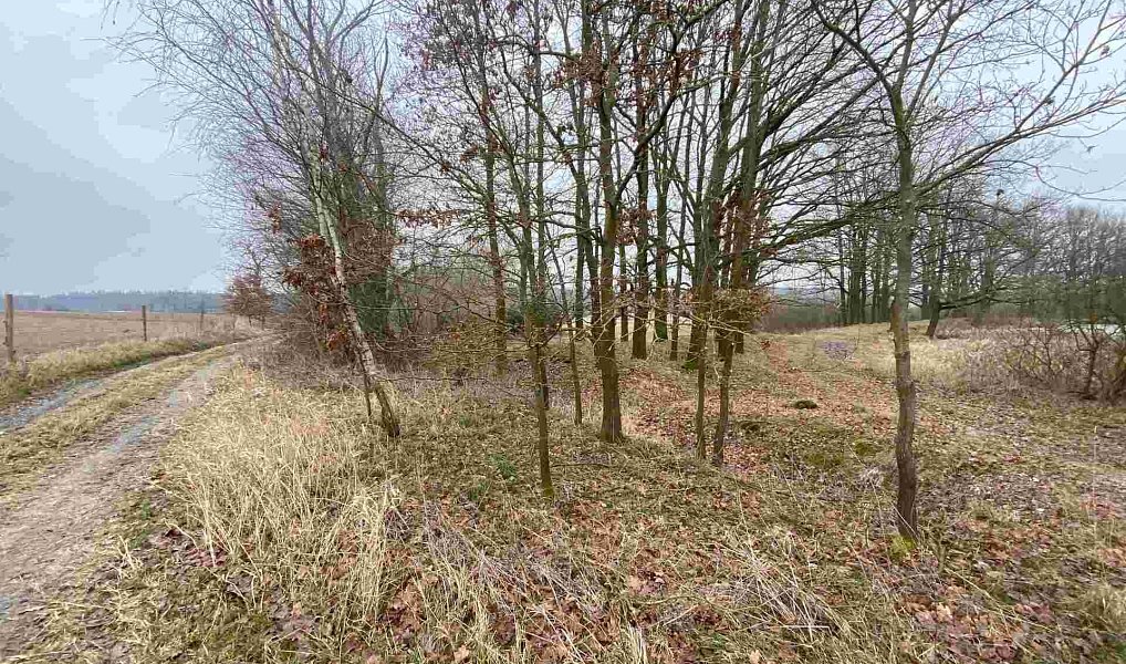 Prodej pozemku 2 121 m², Drahonice – náhled fotky 2