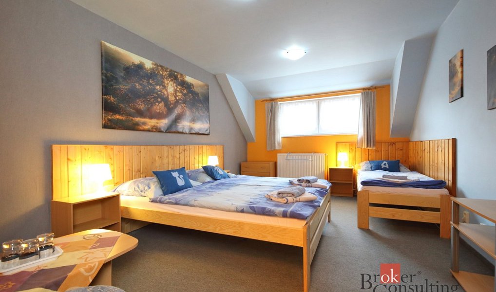 Prodej komerčního objektu (jiného typu) 640 m², Desná – náhled fotky 33