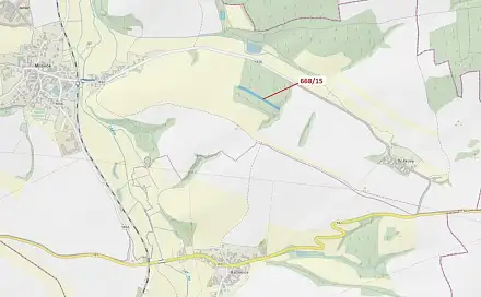Dražba lesa 4 689 m², Milavče