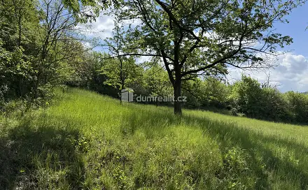 Prodej louky 5 056 m², Partyzánská, Uherské Hradiště - Míkovice
