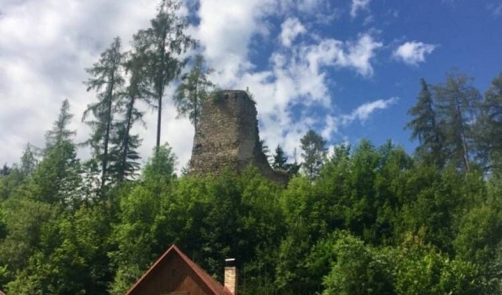 Prodej stavebního pozemku 3 004 m², Kaplice – náhled fotky 11