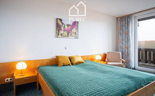 Prodej bytu 1+kk 33 m², Böhmischbruck, Německo