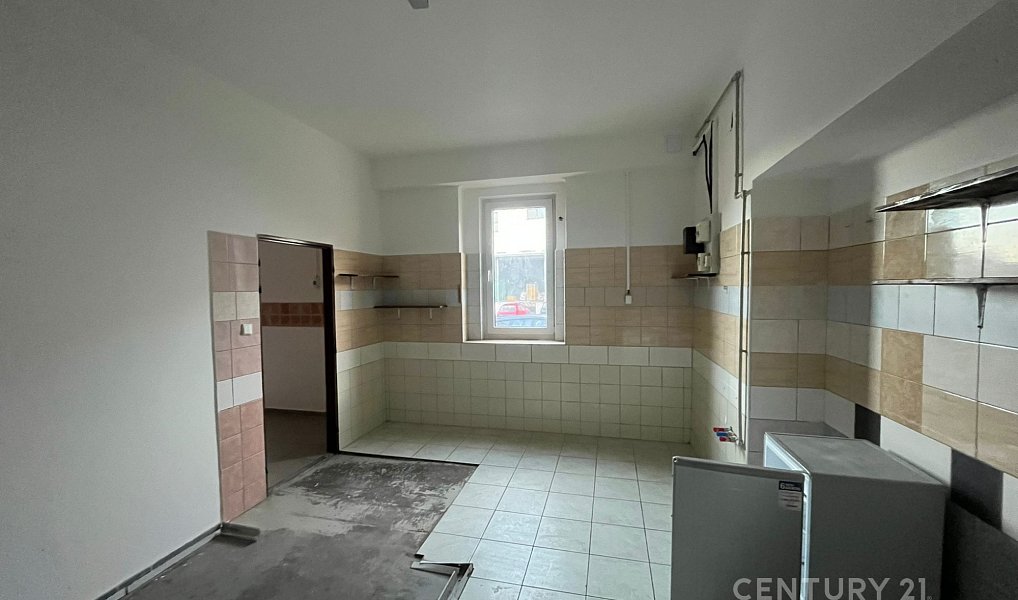 Pronájem komerčního objektu (jiného typu) 233 m², Hostomice – náhled fotky 5