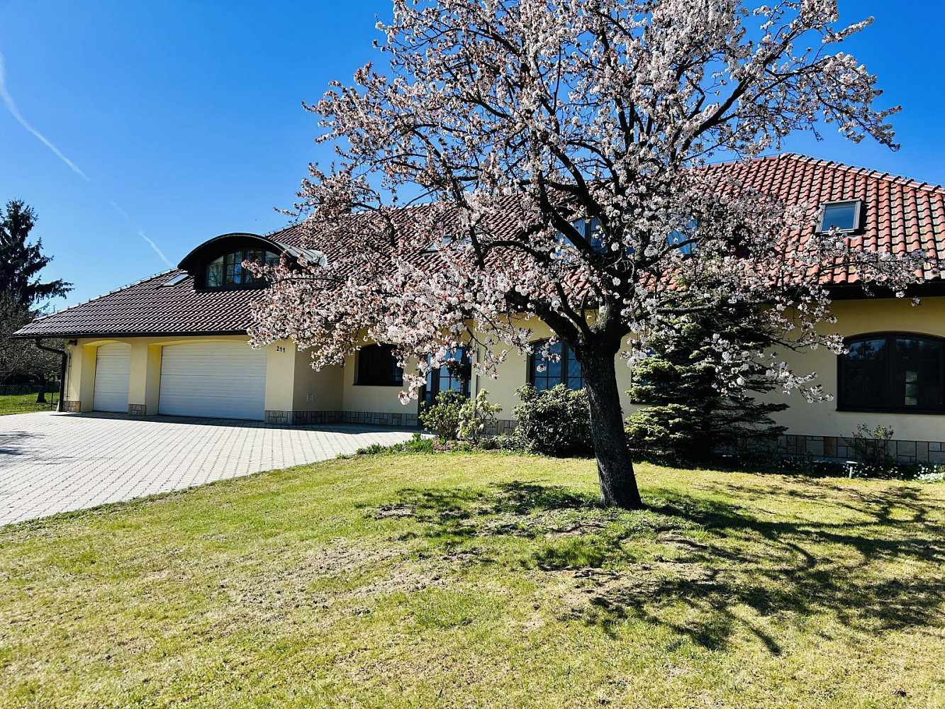 Prodej domu 392 m² s pozemkem 3 190 m² – fotografie 4