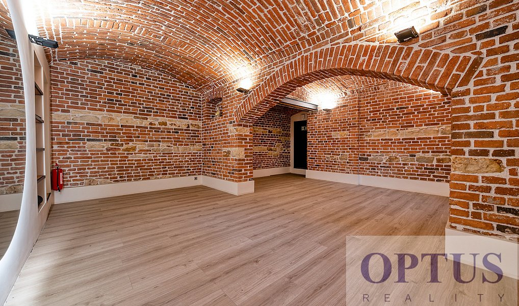 Pronájem bytu 5+kk 190 m², Praha – náhled fotky 34
