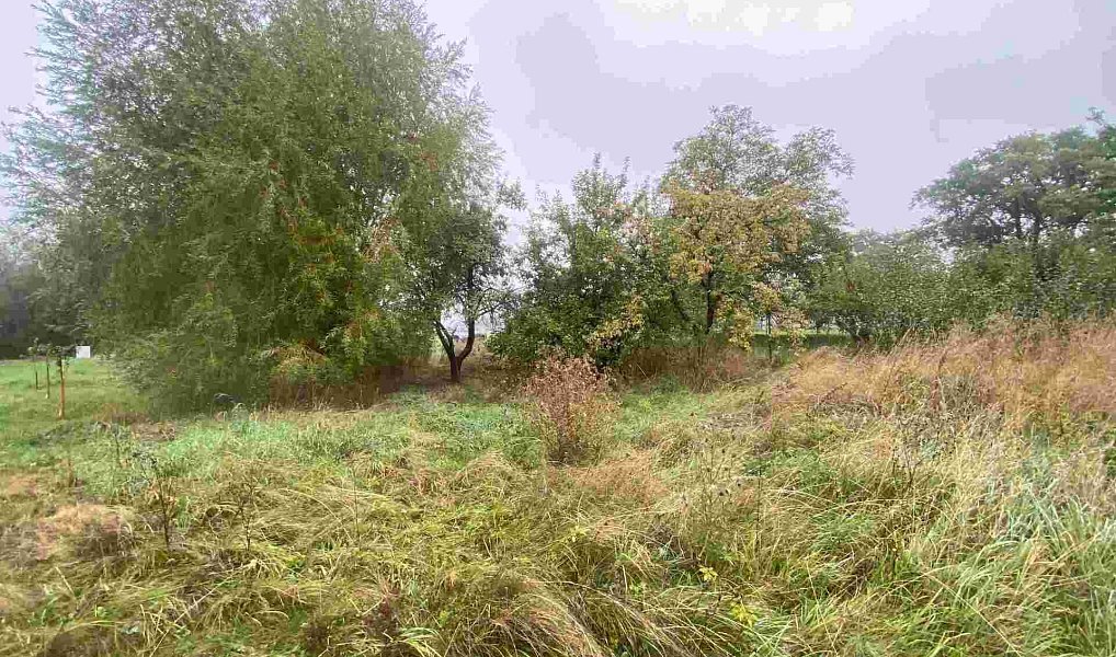 Prodej stavebního pozemku 588 m², Dolní Bukovsko – náhled fotky 3