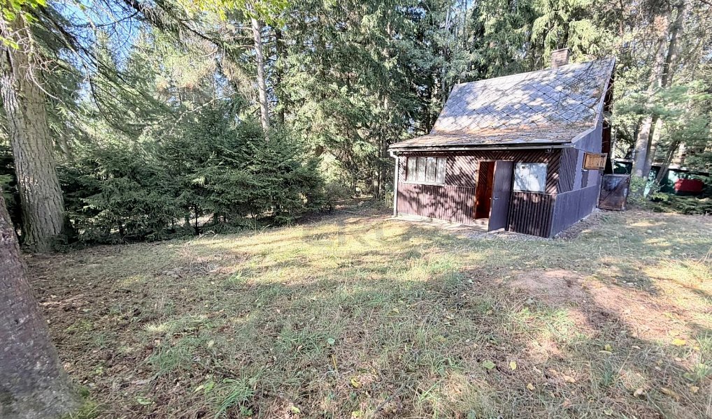Prodej chaty/chalupy 53 m² s pozemkem 366 m², Borová – náhled fotky 4