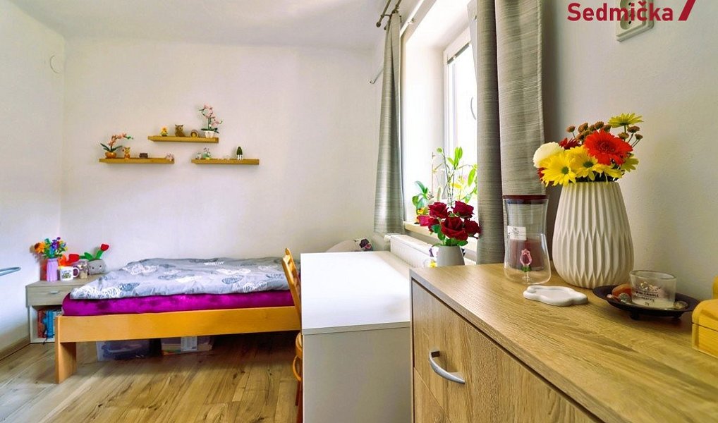 Prodej domu 225 m² s pozemkem 6 700 m², Věžná – náhled fotky 29