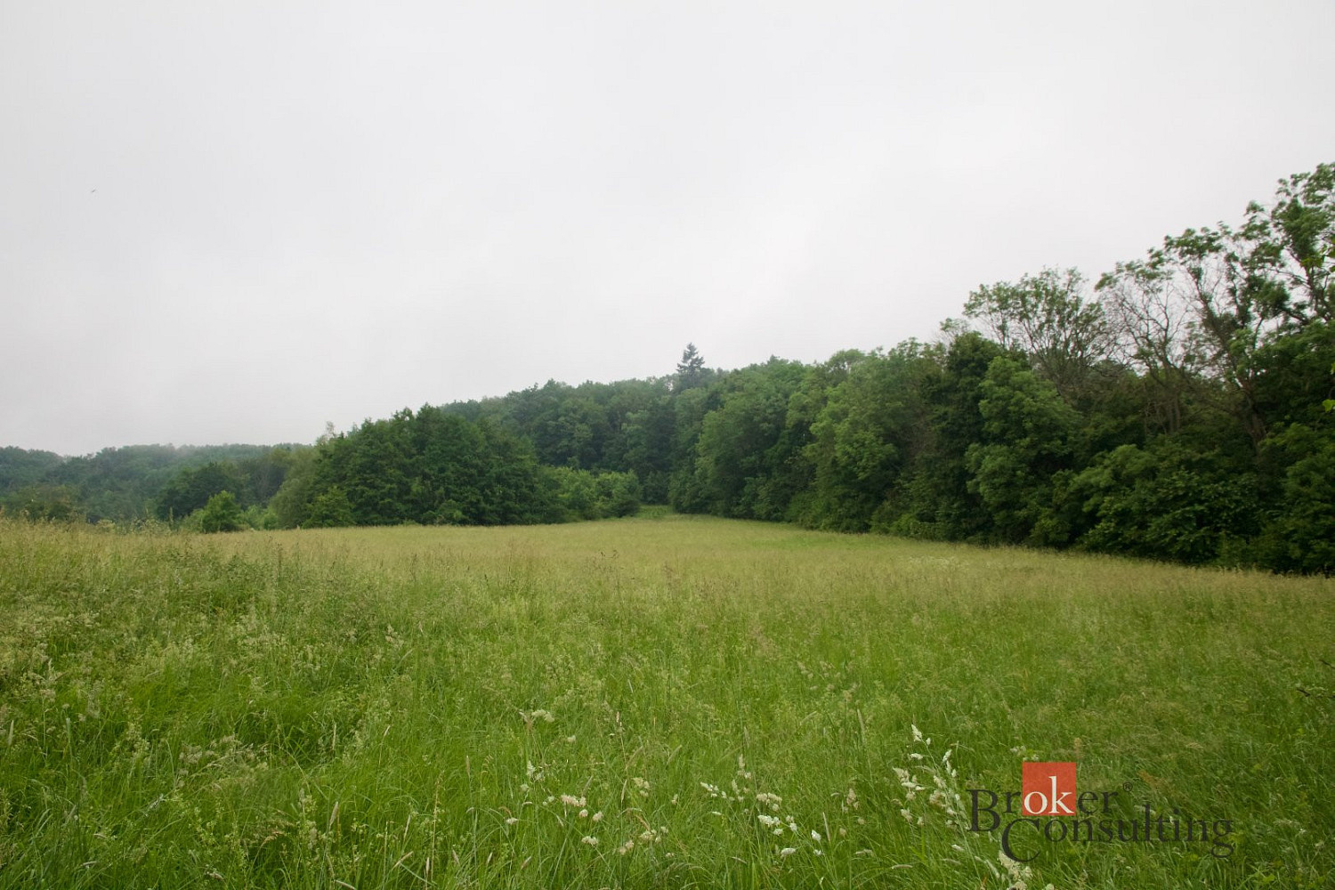 Prodej louky 89 230 m² – fotografie 4