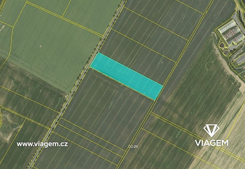 Prodej pole 1 537 m² – fotografie 3