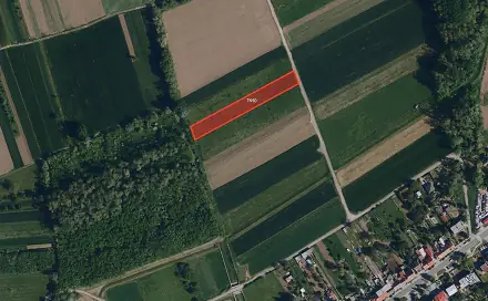 Ostatní