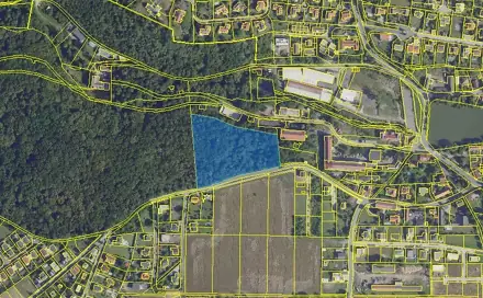 Prodej lesa 13 687 m², K Holosmetkům, Zdiby - Přemyšlení, okres Praha-východ