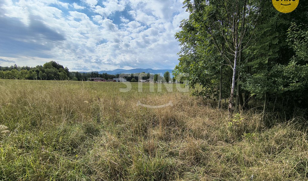 Prodej stavebního pozemku 5 732 m², Třinec – náhled fotky 2