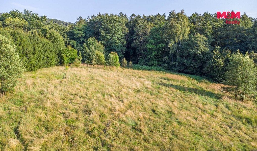 Prodej louky 5 500 m², Nový Bor – náhled fotky 4