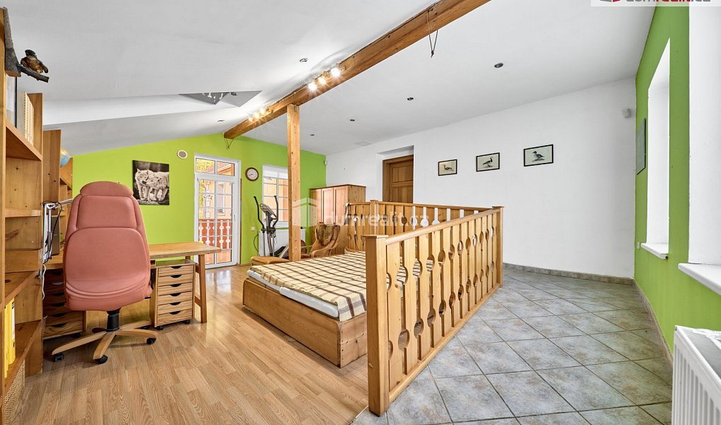 Prodej domu 630 m² s pozemkem 83 559 m², Okounov – náhled fotky 11