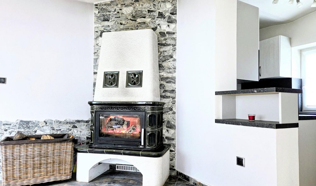 Prodej domu 385 m² s pozemkem 964 m², Bílovec – náhled fotky 22