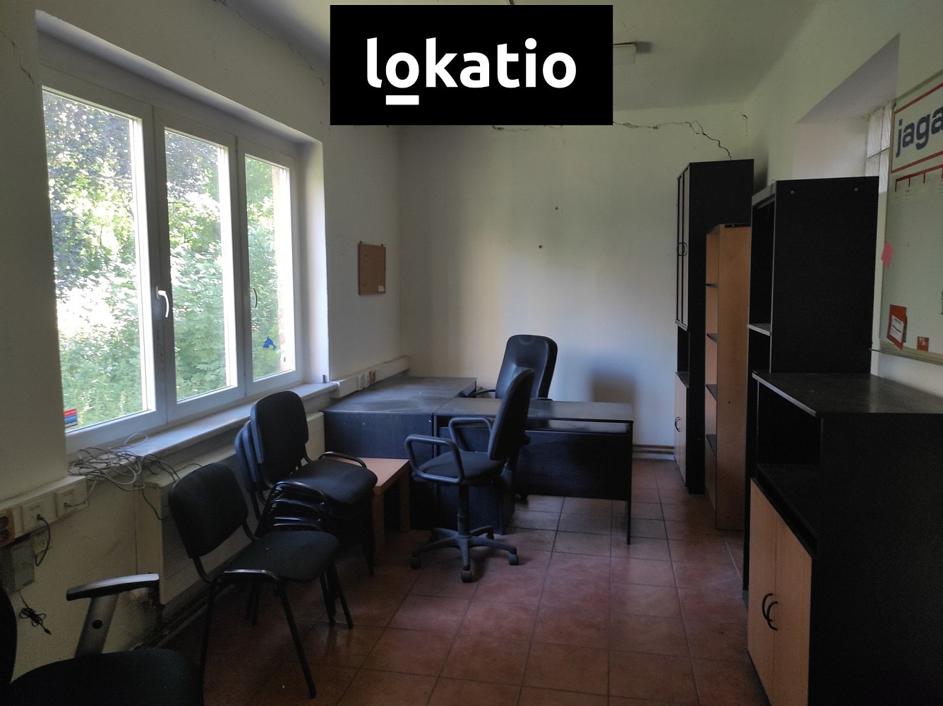 Fotka 7 z 15