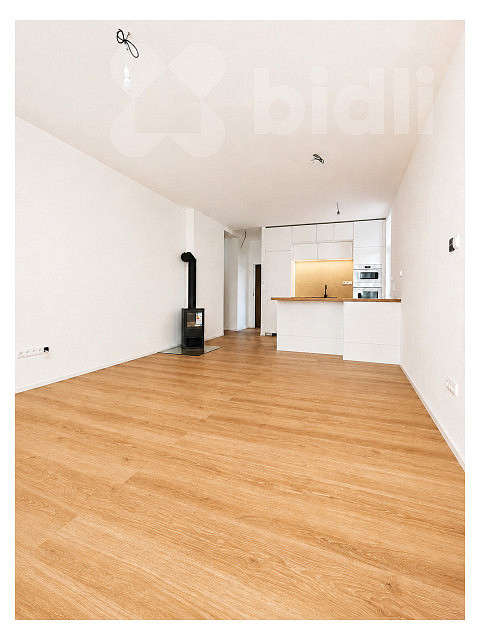 Pronájem bytu 2+kk 57 m² – fotografie 2