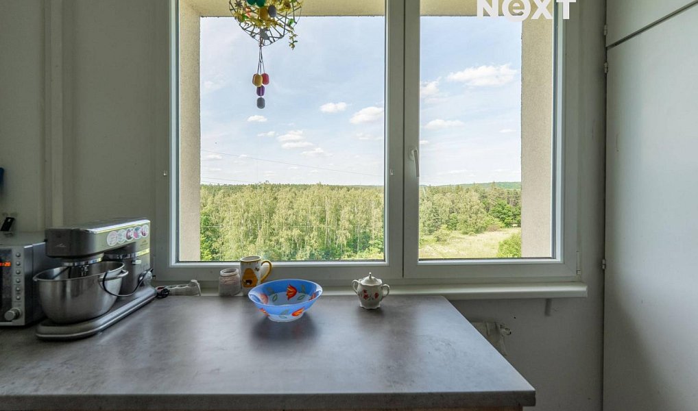 Prodej bytu 4+1 72 m², Plzeň – náhled fotky 10