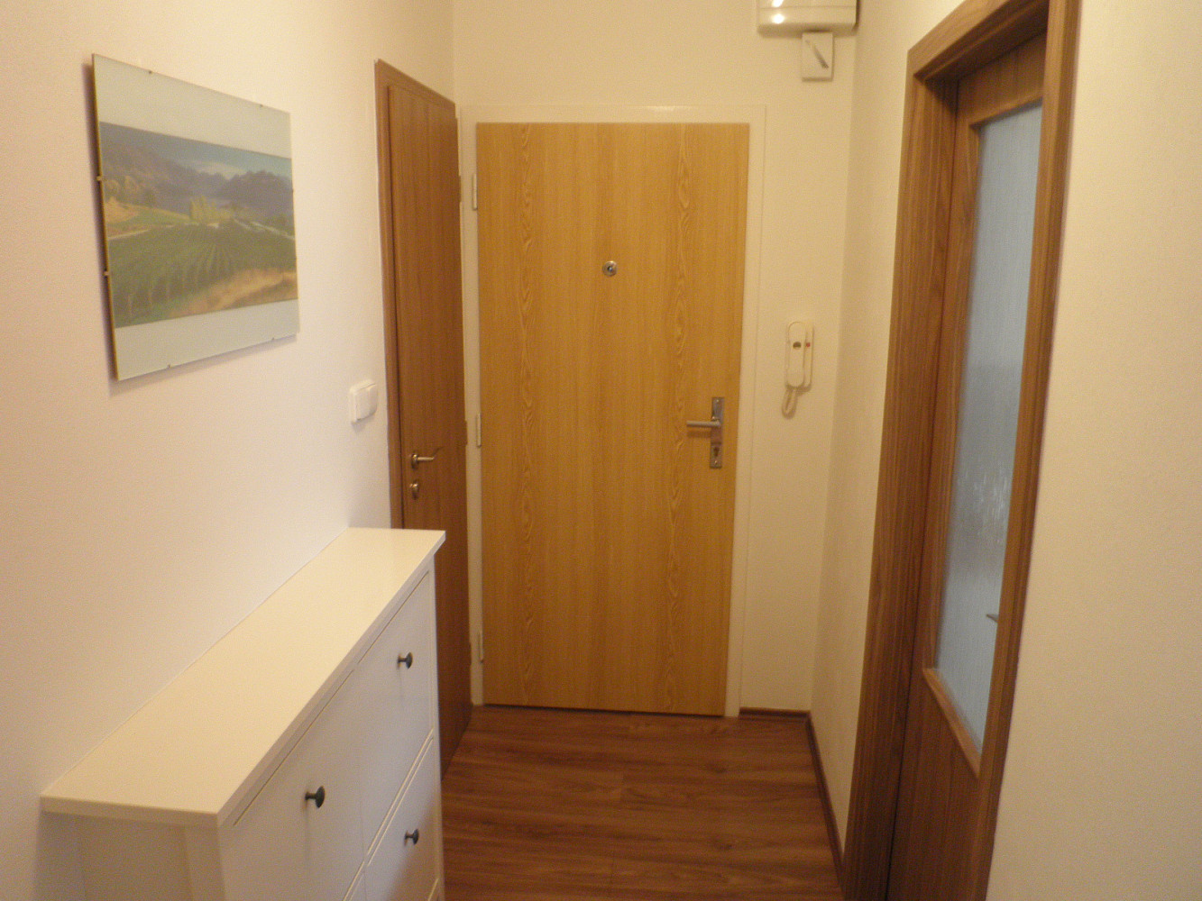 1+1 Apartment in Brno, Bystrc – pohled 6