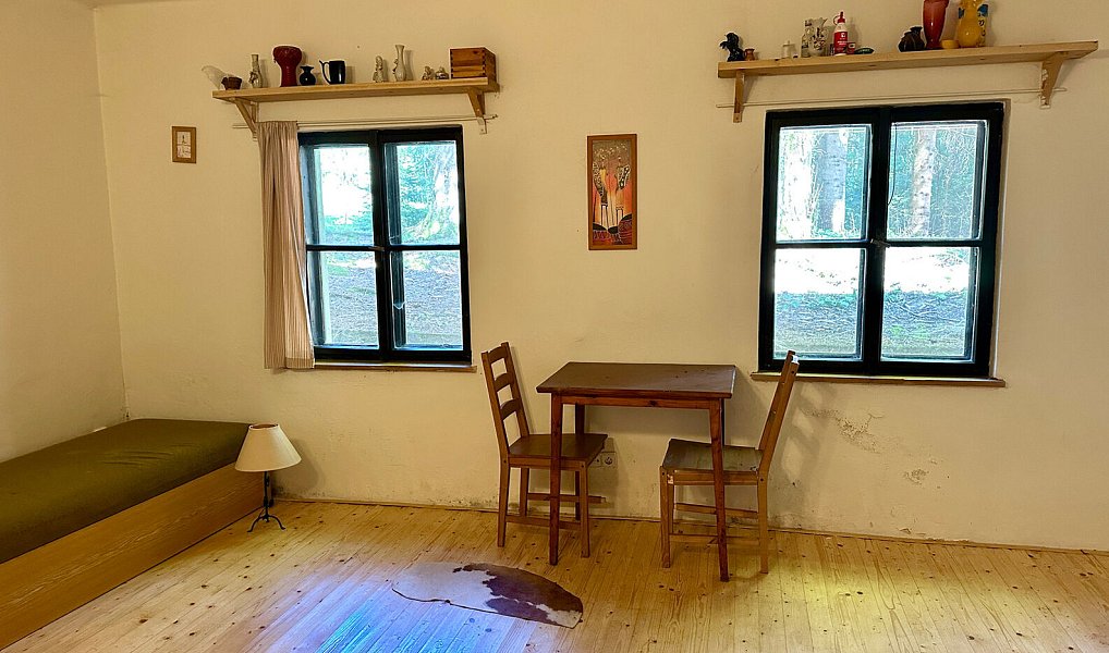 Prodej domu 400 m² s pozemkem 15 757 m², Železná Ruda – náhled fotky 6