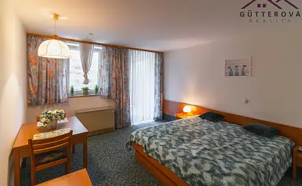 Prodej bytu 1+kk 30 m², Böhmischbruck, Německo
