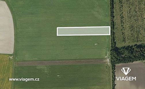 Prodej pole 1 236 m², Dvory, okres Nymburk