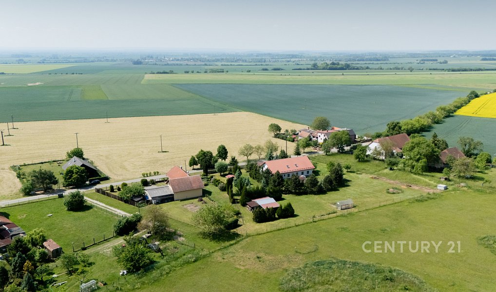 Prodej stavebního pozemku 5 553 m², Jizbice – náhled fotky 12