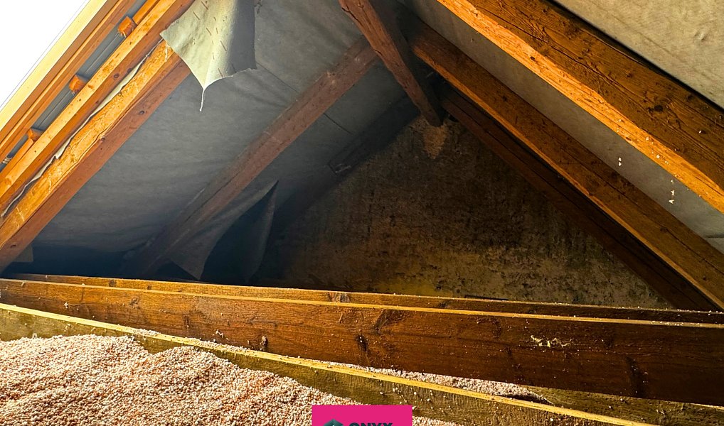 Prodej domu 344 m² s pozemkem 430 m², Jenštejn – náhled fotky 7