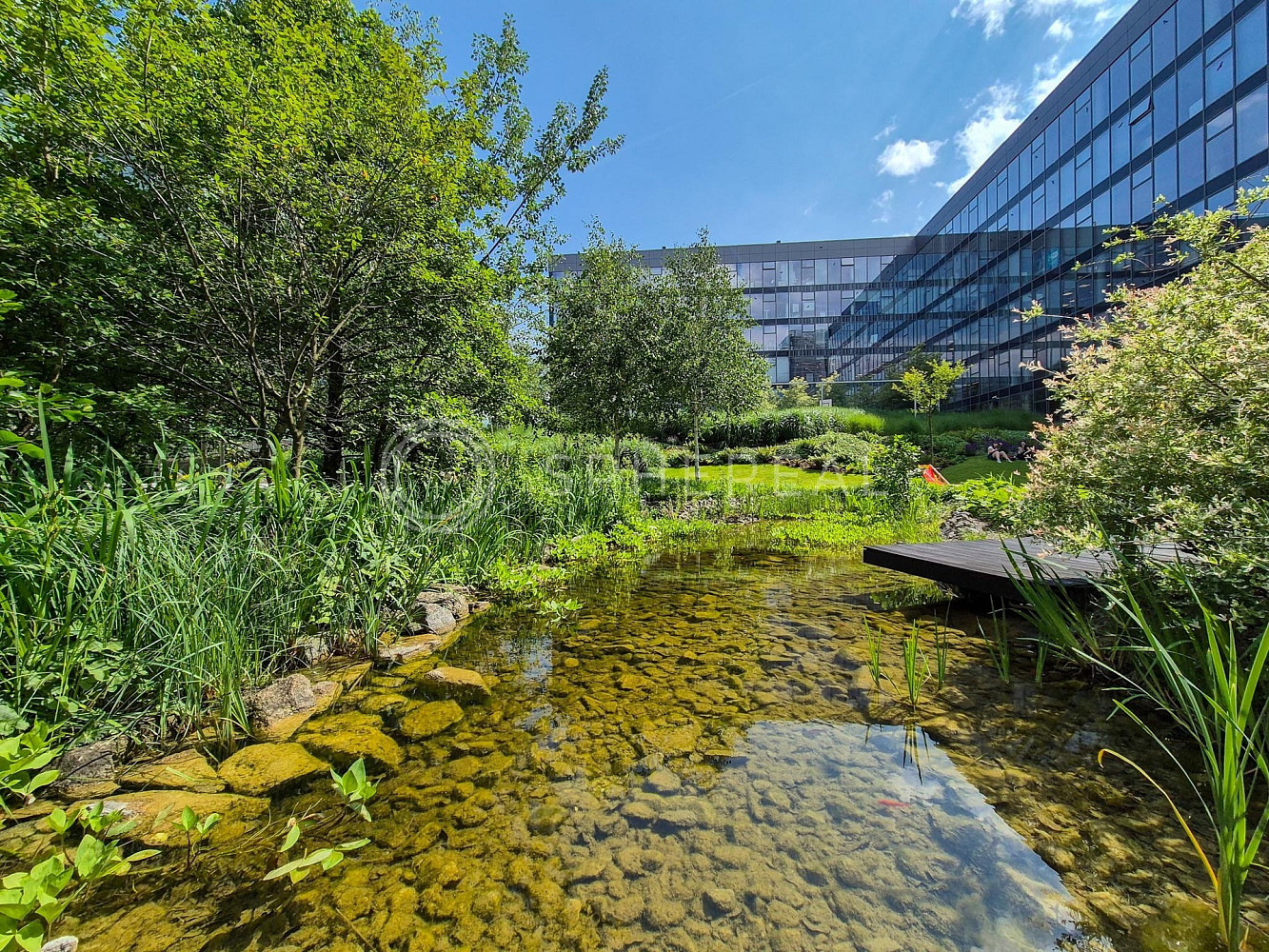 Pronájem prémiových kanceláří o ploše cca 1300 m² v Campus Science Parku – pohled 5