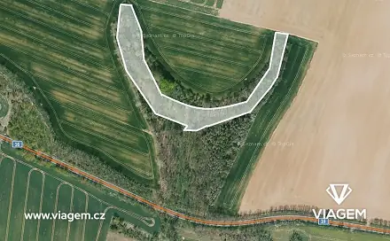 Prodej lesa 8 584 m², Mělnické Vtelno, okres Mělník