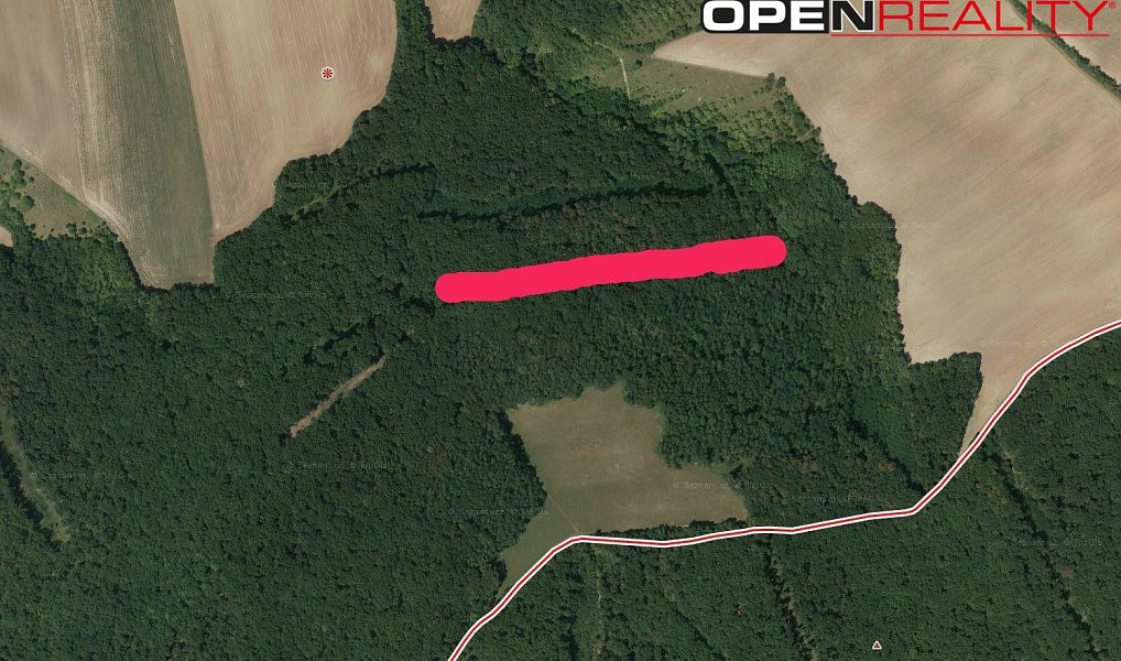 Prodej lesa 5 387 m², Morkůvky – náhled fotky 8